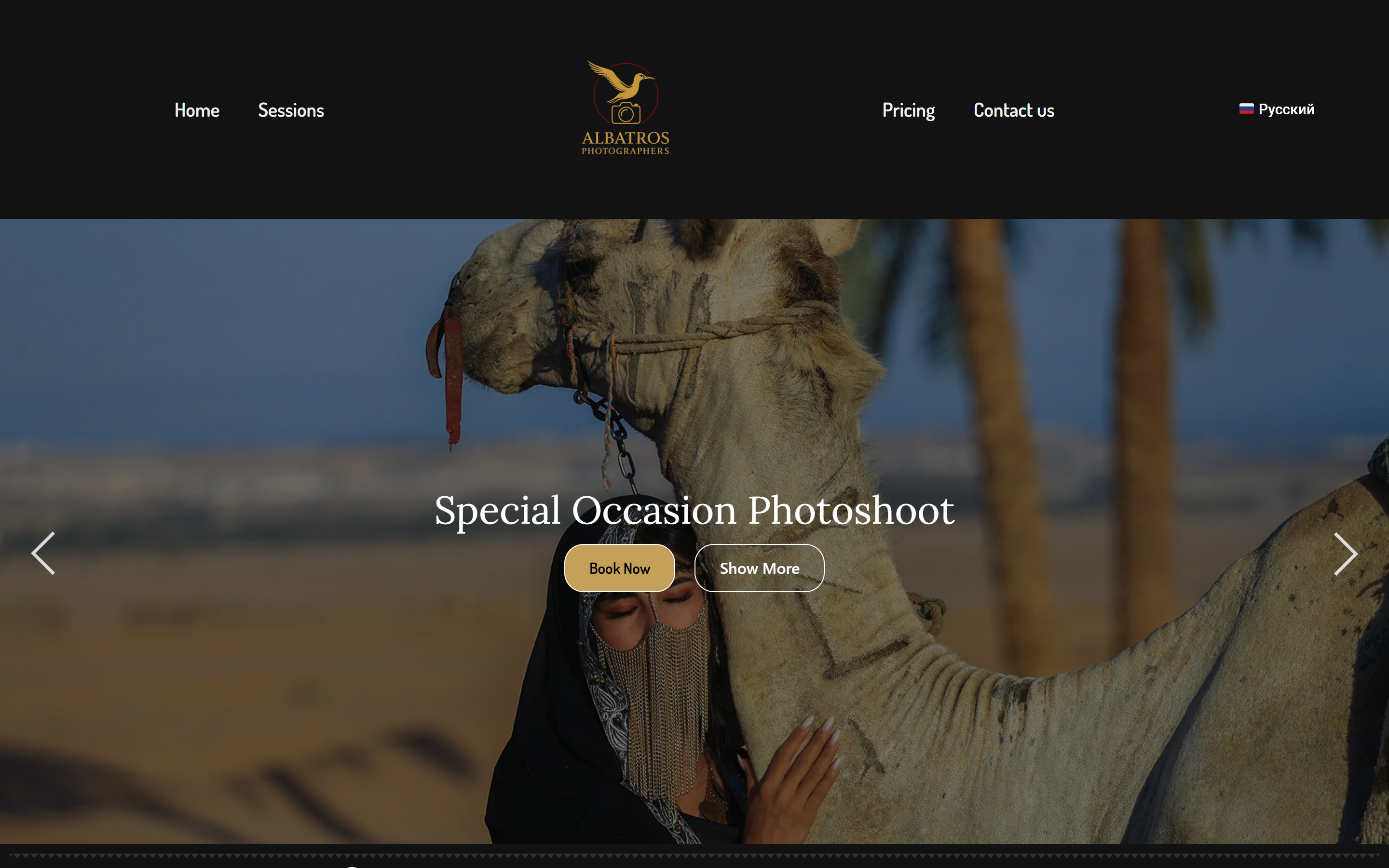 Homepage Hero & Studio Brand Experience